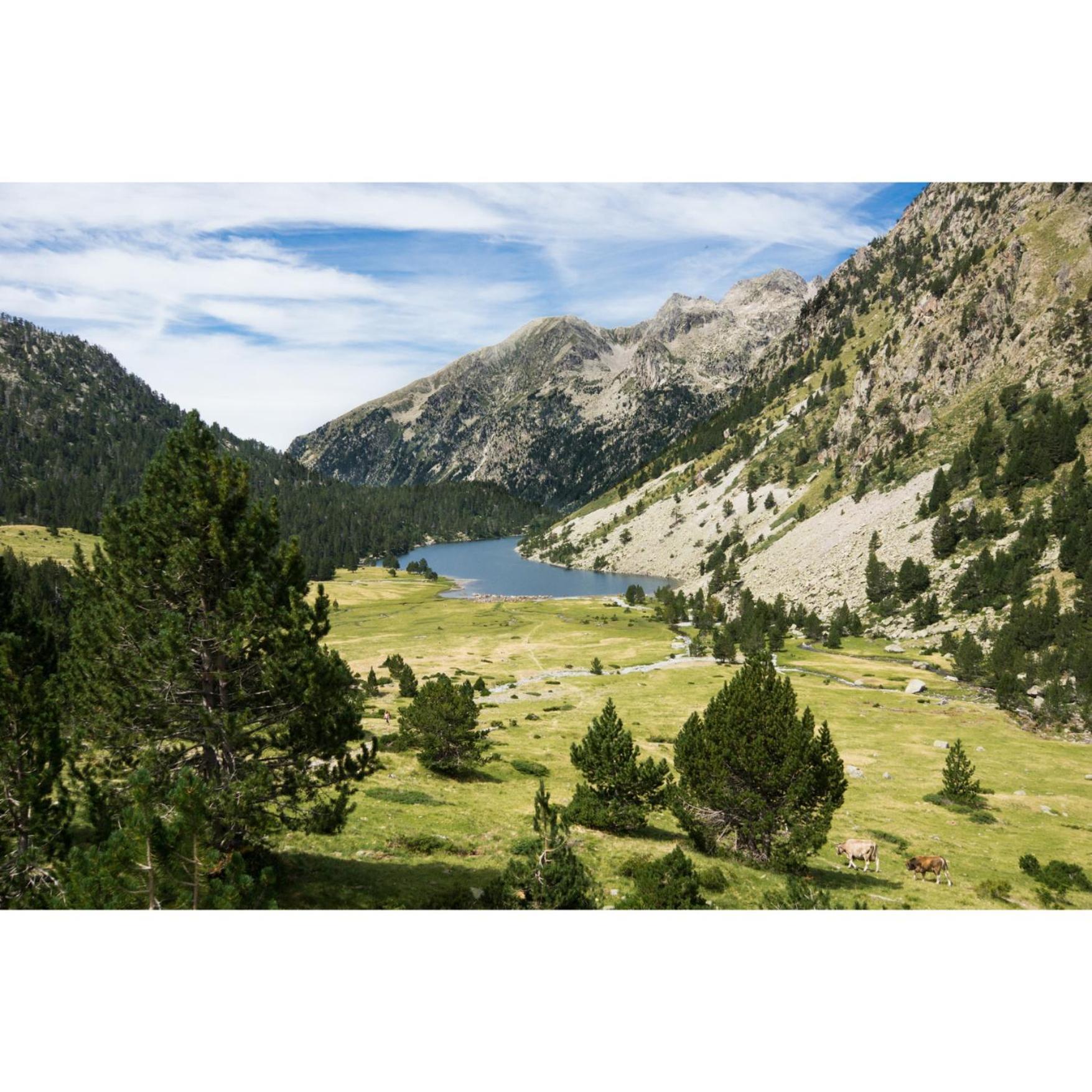 Charmant T3 Avec Vue Montagne Et Parking Privatif Font-Romeu-Odeillo-Via Εξωτερικό φωτογραφία